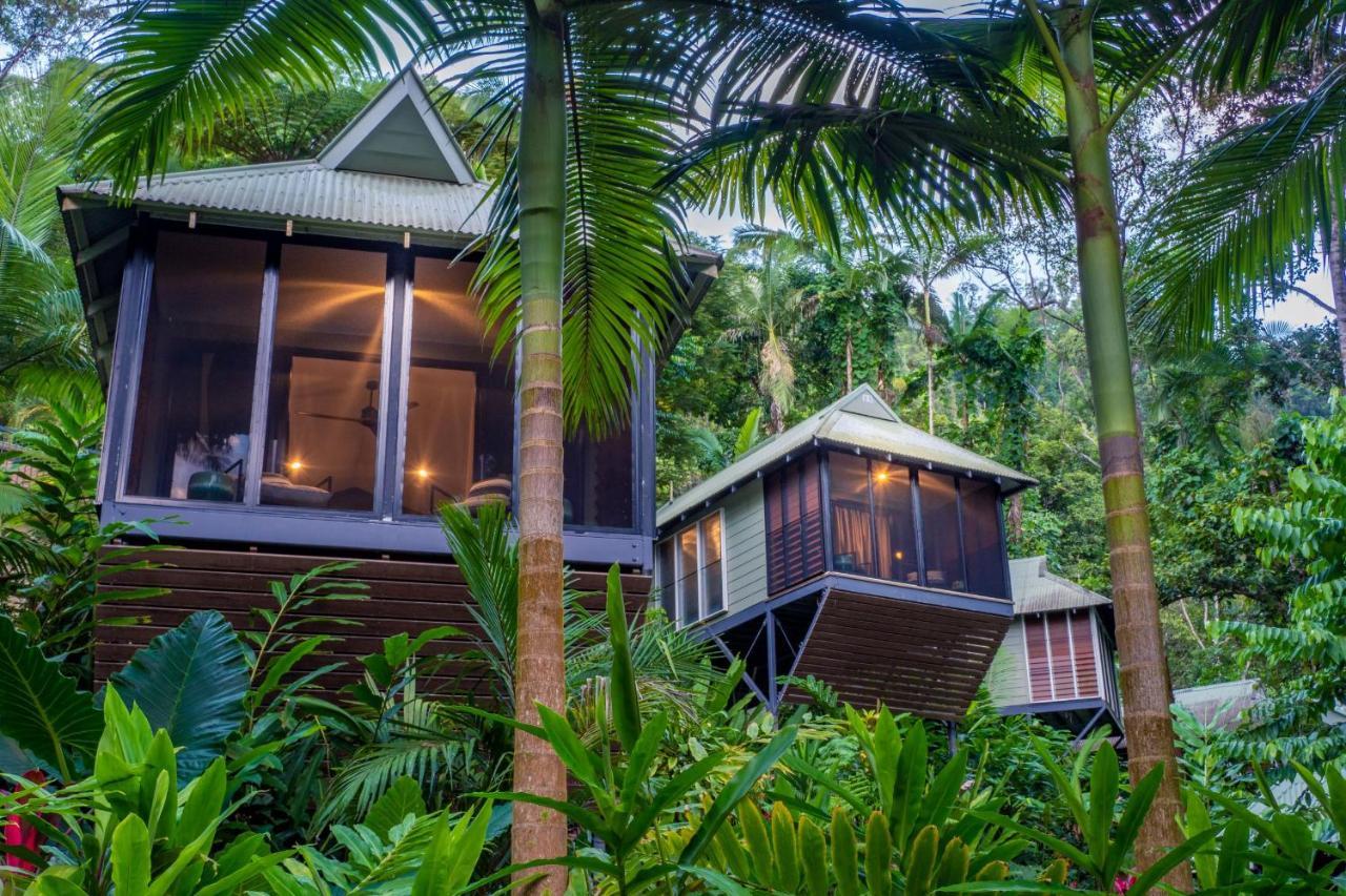 Daintree Ecolodge Zewnętrze zdjęcie