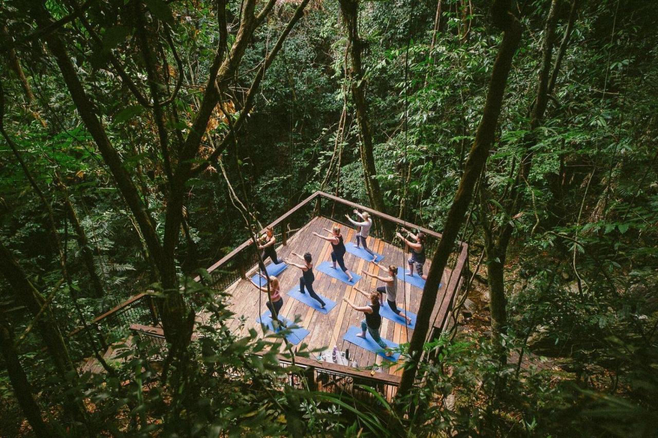 Daintree Ecolodge Zewnętrze zdjęcie