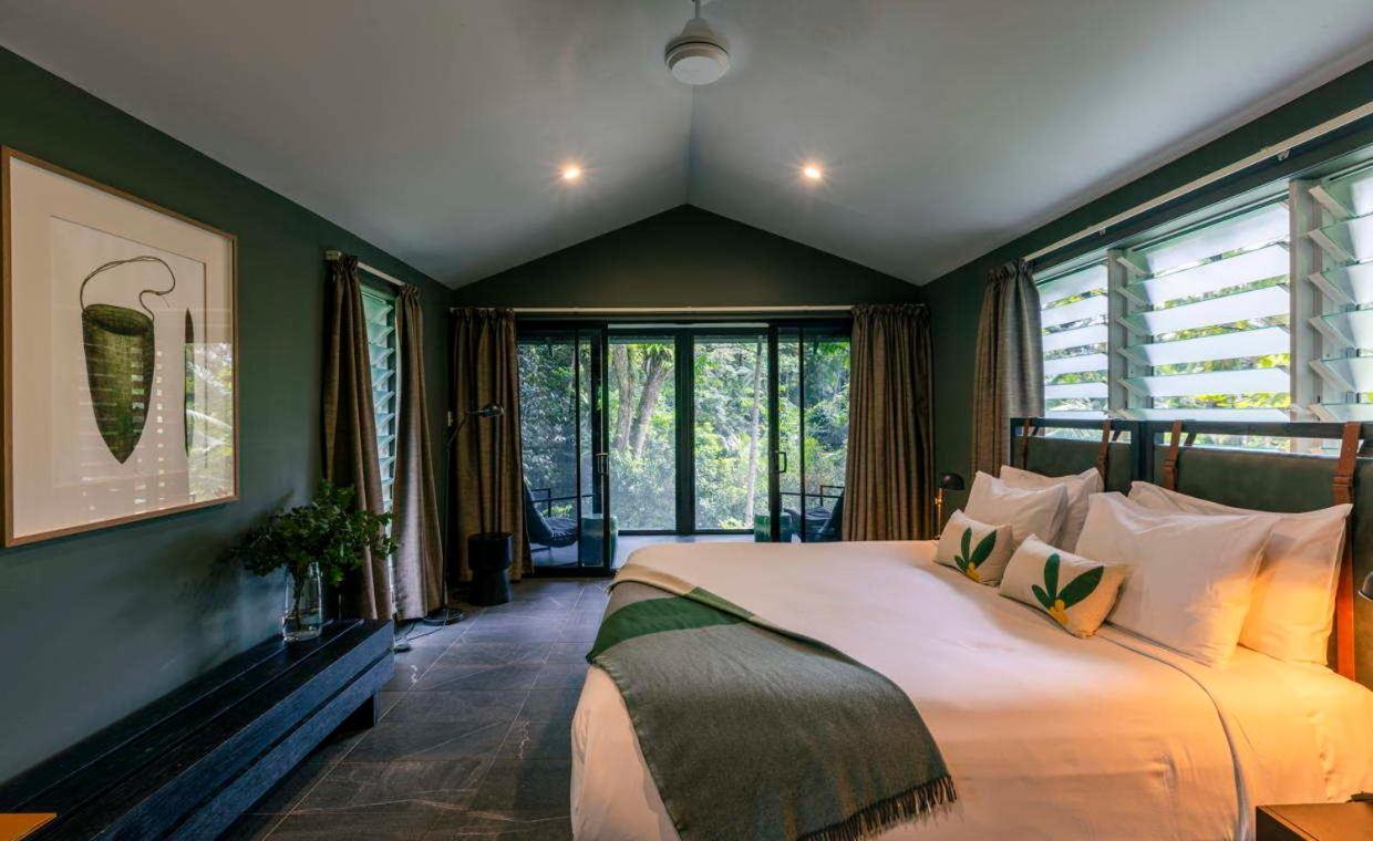 Daintree Ecolodge Zewnętrze zdjęcie