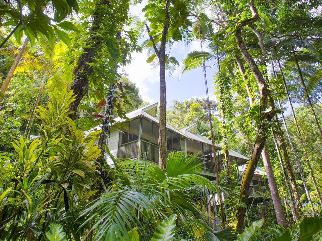 Daintree Ecolodge Zewnętrze zdjęcie