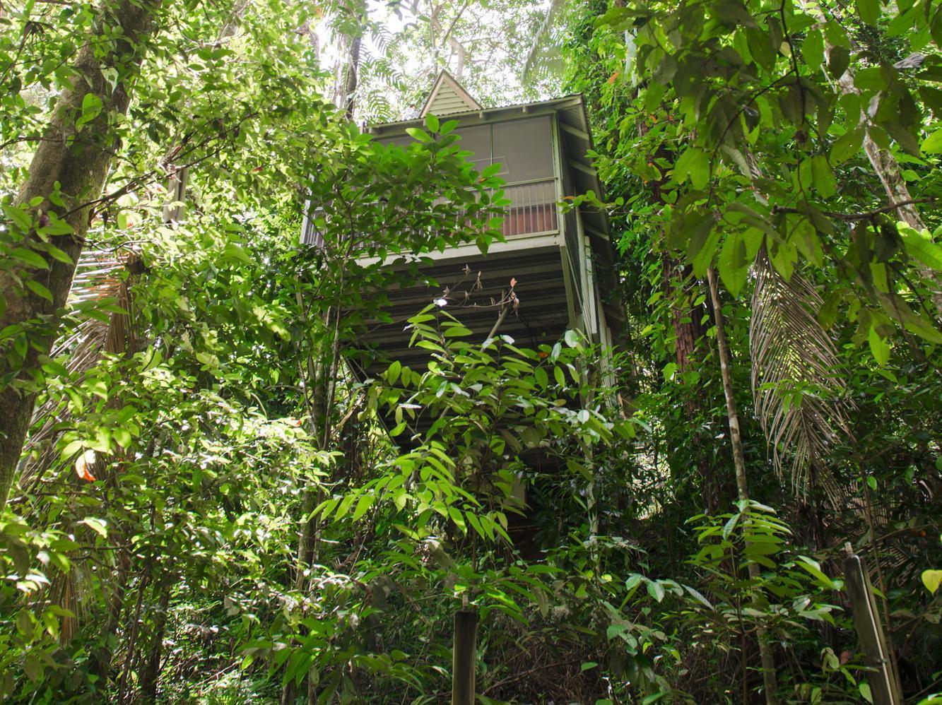 Daintree Ecolodge Zewnętrze zdjęcie