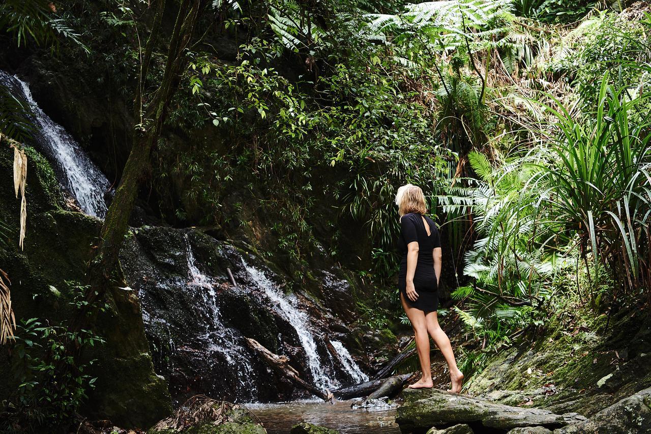 Daintree Ecolodge Zewnętrze zdjęcie