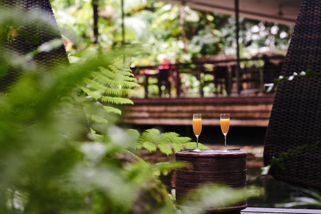 Daintree Ecolodge Zewnętrze zdjęcie