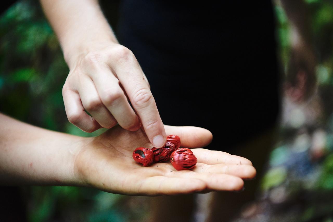 Daintree Ecolodge Zewnętrze zdjęcie