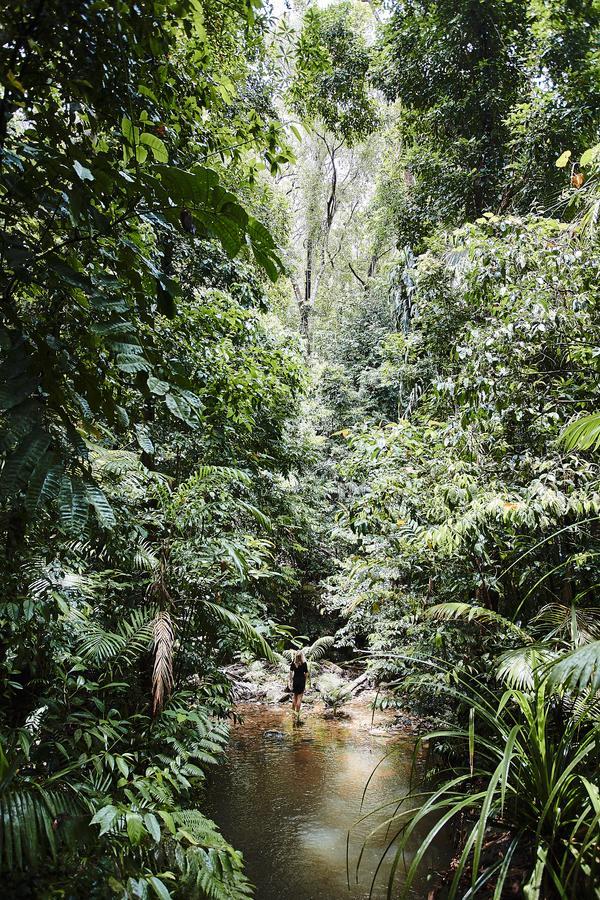 Daintree Ecolodge Zewnętrze zdjęcie
