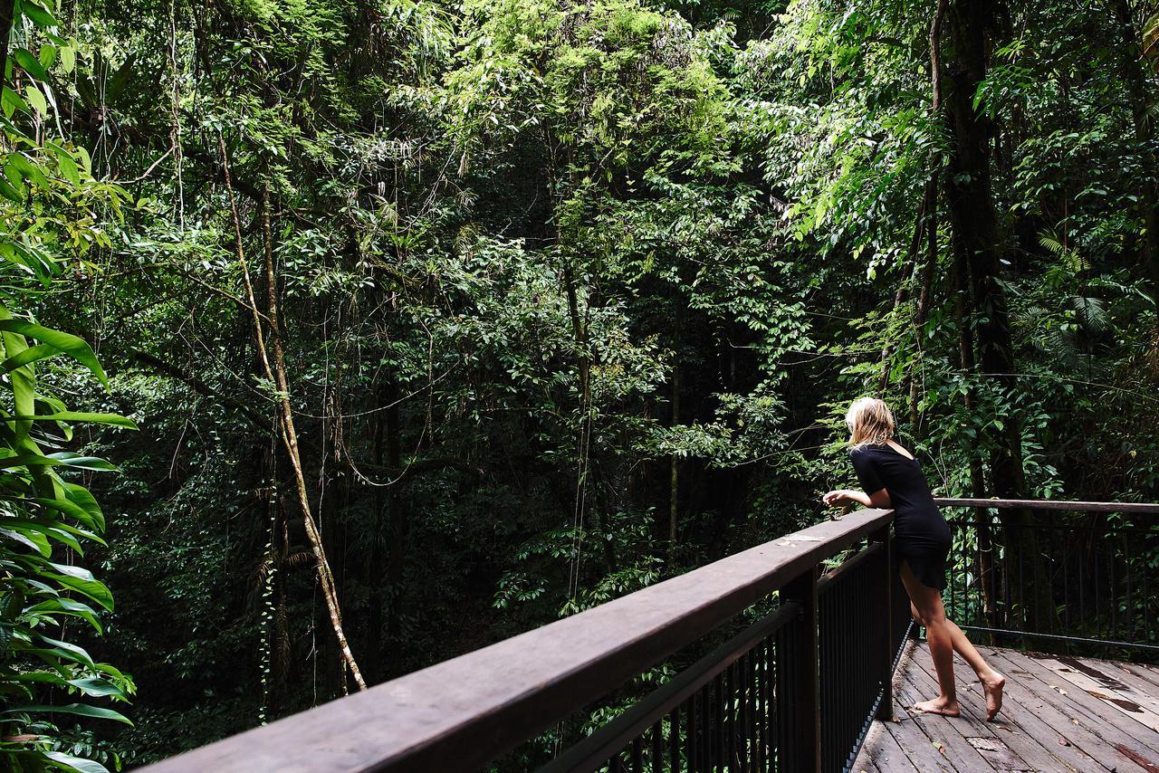 Daintree Ecolodge Zewnętrze zdjęcie