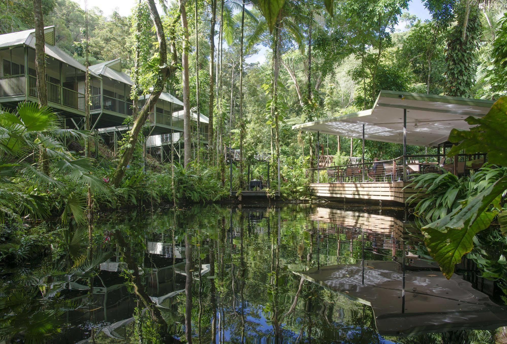 Daintree Ecolodge Zewnętrze zdjęcie