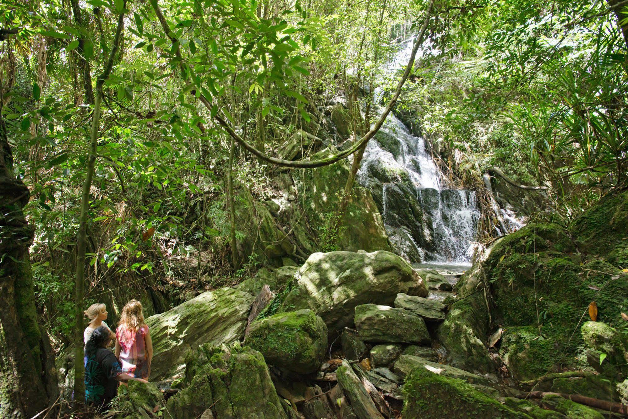 Daintree Ecolodge Zewnętrze zdjęcie