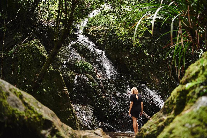 Daintree Ecolodge Zewnętrze zdjęcie