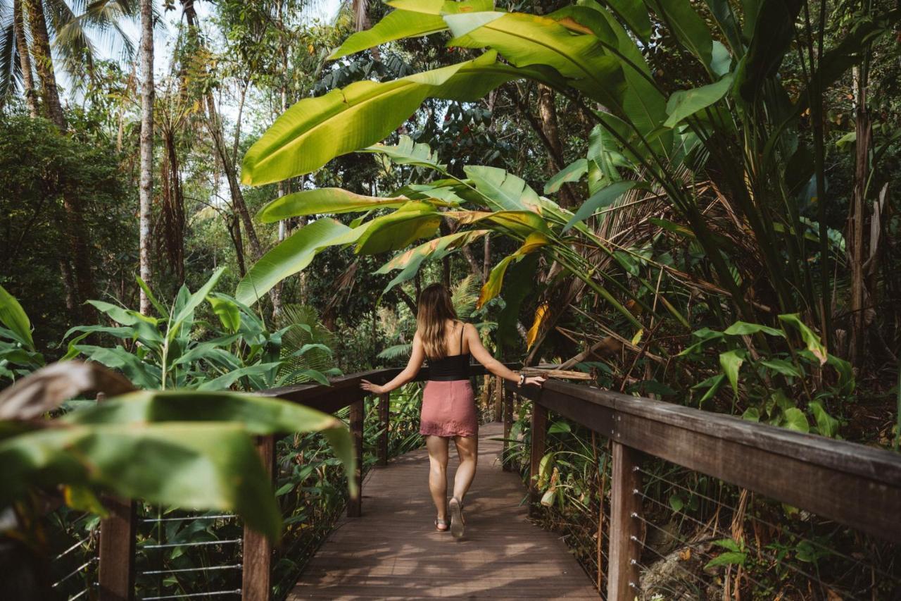 Daintree Ecolodge Zewnętrze zdjęcie