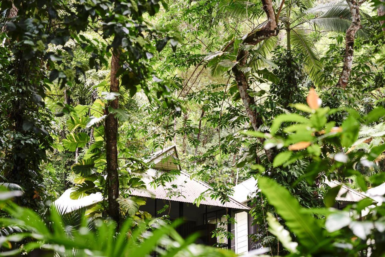 Daintree Ecolodge Zewnętrze zdjęcie